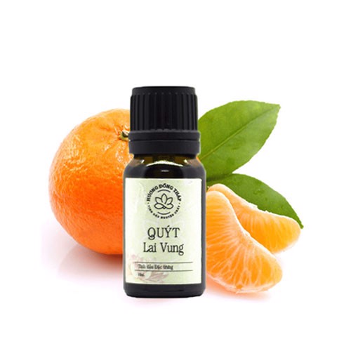 TINH DẦU QUÝT LAI VUNG 10ML